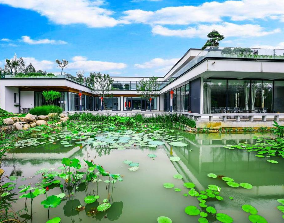 WechatIMG2166.jpeg 图片